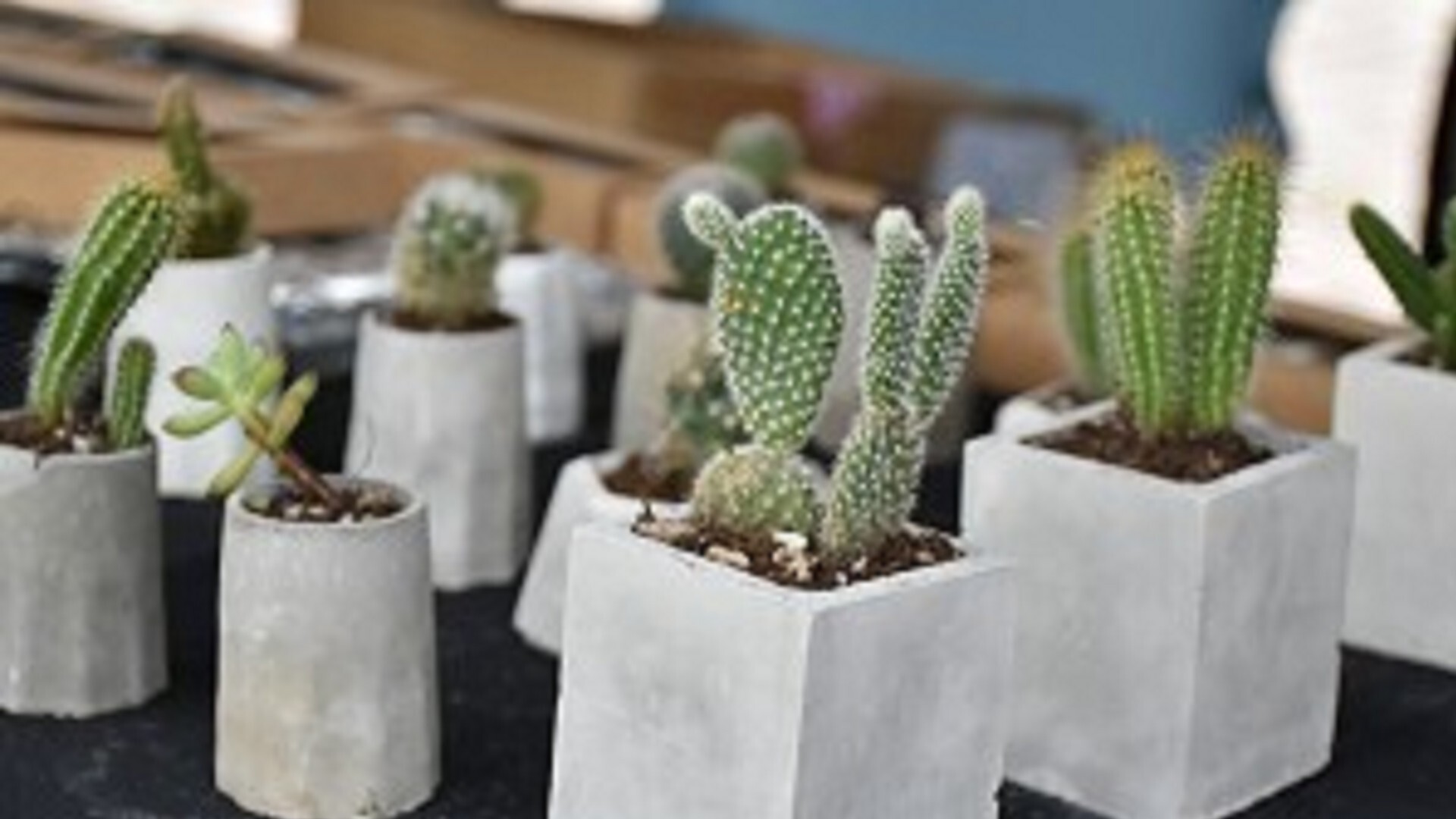 🎯校慶園遊會圖片